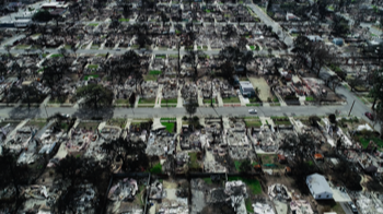 Devastation